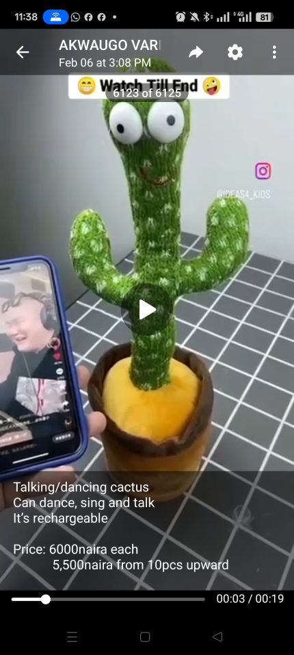 dancing cactus